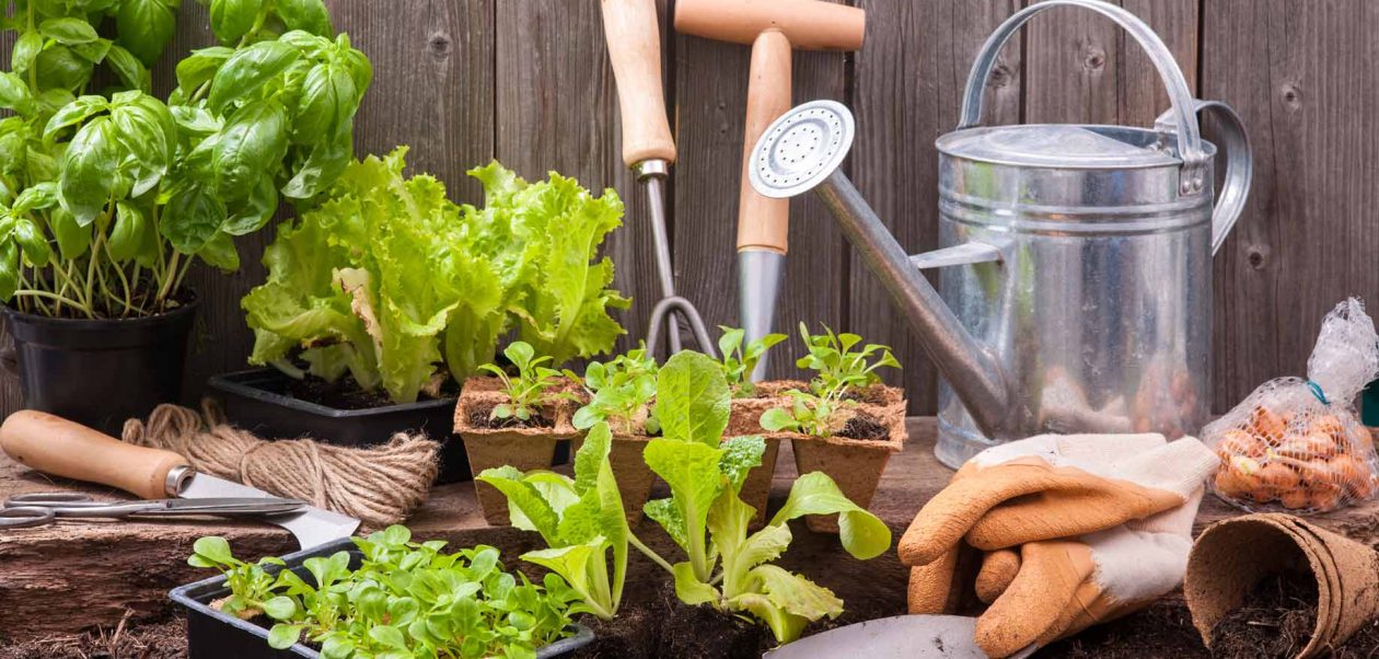 Home & Garden Tips and Tricks