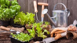 Home & Garden Tips and Tricks